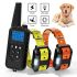 Collier de dressage chien 800m écran LCD modes choc vibration son collier rechargeable imperméable