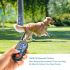 Collier de dressage télécommande étanche rechargeable pour chiens petits moyens grands 3 modes efficaces