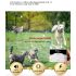 Clôture Sans Fil Chien 2-en-1 Système de Clôture Électronique et Collier de Dressage pour Tous Tailles Chiens