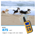 Collier de dressage chien électrique 2020 portée 1000m imperméable écran LCD niveaux ajustables rechargeable
