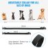 Collier de Dressage Rechargeable avec Écran LCD pour Chien Distance 300m Collier Étanche et Ajustable