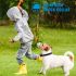 Collier de Dressage Rechargeable avec Écran LCD pour Chien Distance 300m Collier Étanche et Ajustable