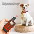 Collier électronique pour chien rechargeable étanche à niveaux de choc réglables aide à l'entraînement canin