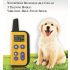 Collier de dressage chien électrique 2020 portée 1000m imperméable écran LCD niveaux ajustables rechargeable