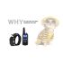 Collier de dressage chien 800m écran LCD modes choc vibration son collier rechargeable imperméable