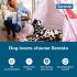 Seresto Collier de traitement et de prévention contre les puces et les tiques recommandé par les vétérinaires pour grands chiens, protection de 8 mois