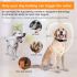 Collier Anti Aboiement Automatique Rechargeable Étanche IP67 Solution de Dressage Humaine pour Chiens