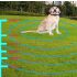 Clôture Électronique Sans Fil Animaux avec Dispositif Intelligent Entraînement Chiens et Collier Ergonomique