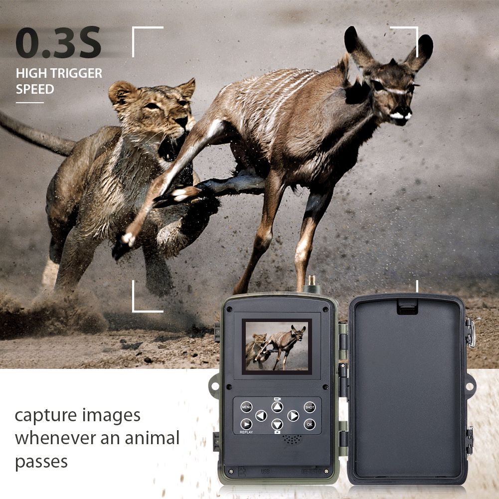 HC801M Appareil photo de chasse 20MP 1080P Vision nocturne Parfait pour la photographie animalière et le suivi des animaux