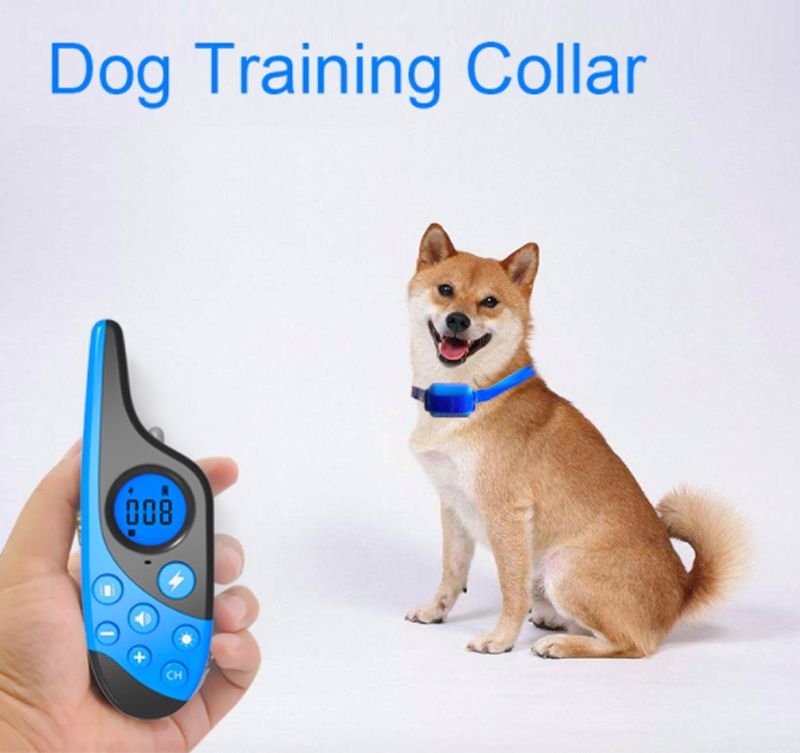 Collier de dressage électrique pour chien 2021 avec télécommande 500m, étanche, rechargeable, écran LCD, obéissance