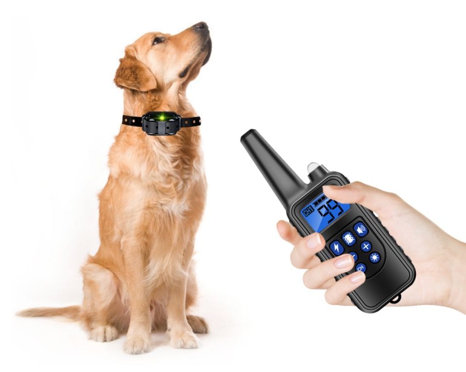 Transformez le dressage canin avec le collier étanche IP7 à télécommande rechargeable de 800 m, niveaux réglables, vibration et choc