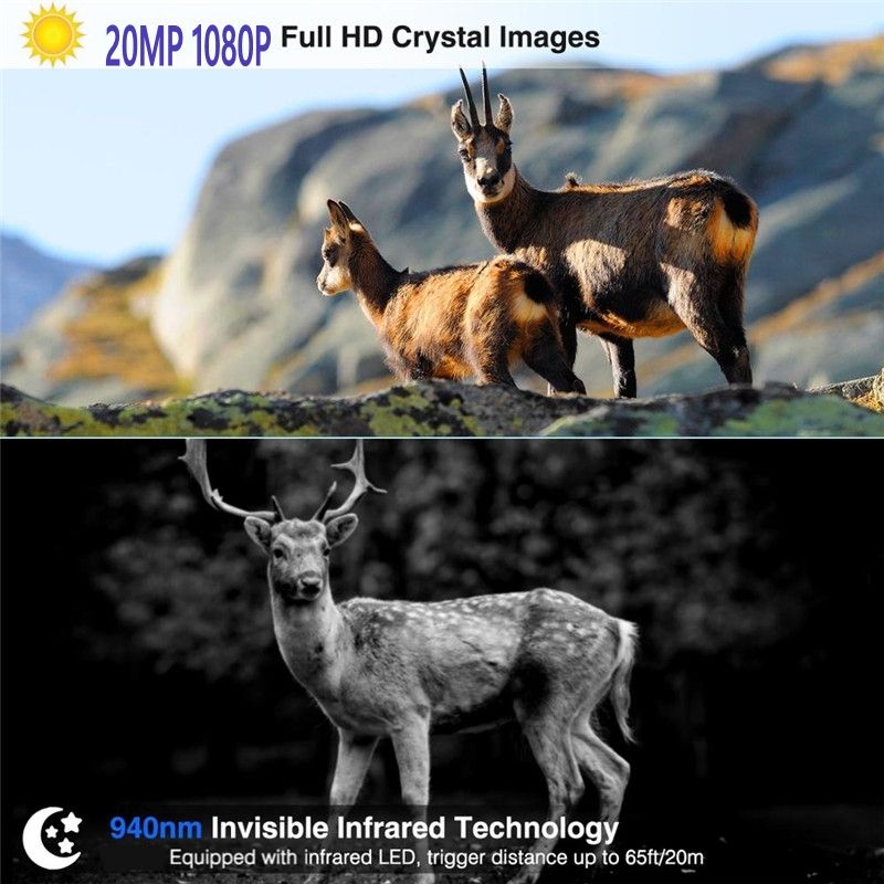 HC801M Appareil photo de chasse 20MP 1080P Vision nocturne Parfait pour la photographie animalière et le suivi des animaux