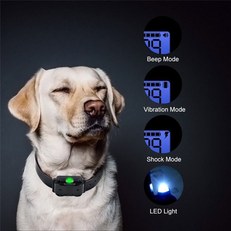 Collier de dressage pour chien électrique 800m étanche rechargeable avec niveaux de choc réglables et écran LCD