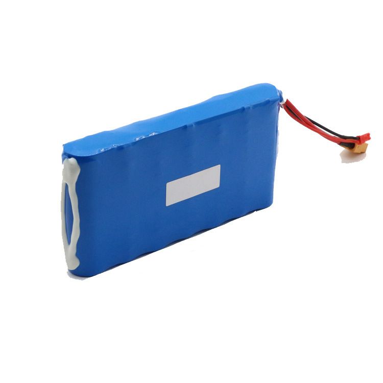 21700-7S1P-25.2V Bloc-batterie haute capacité léger - Solution énergétique pour skateboard Li-Ion avec fonctions de sécurité robustes