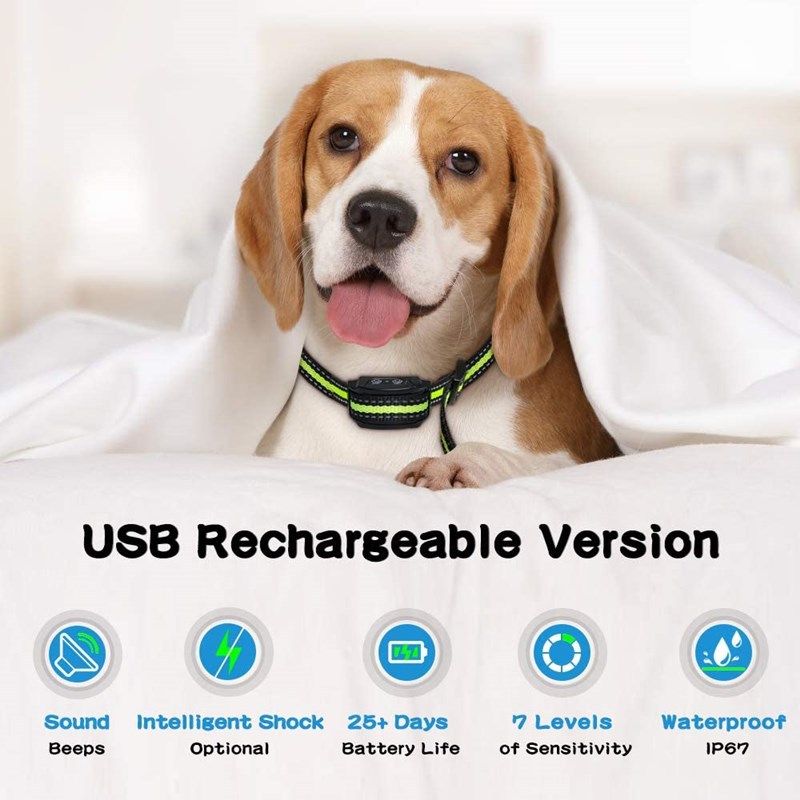 Dispositif anti-aboiement intelligent pour chien, collier ultrasonique électrique USB, outil de dressage humain pour une maison paisible.