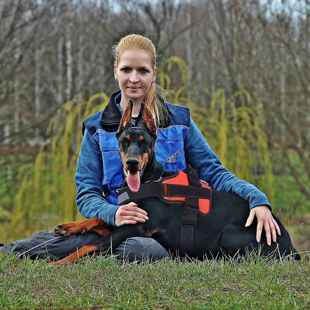 Harnais respirant pour chien avec poignée harnais anti-traction sécurité nocturne pour une marche confortable