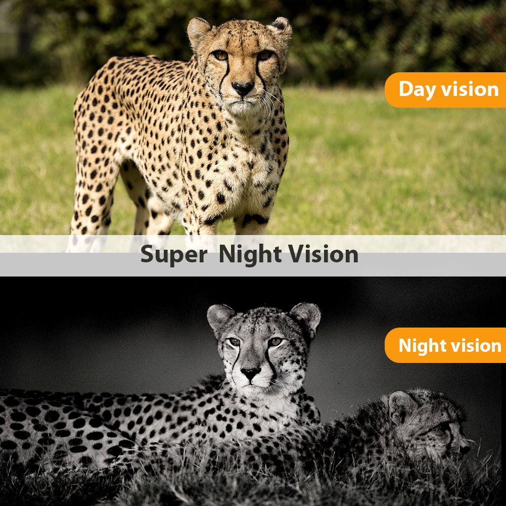 HC801M Appareil photo de chasse 20MP 1080P Vision nocturne Parfait pour la photographie animalière et le suivi des animaux