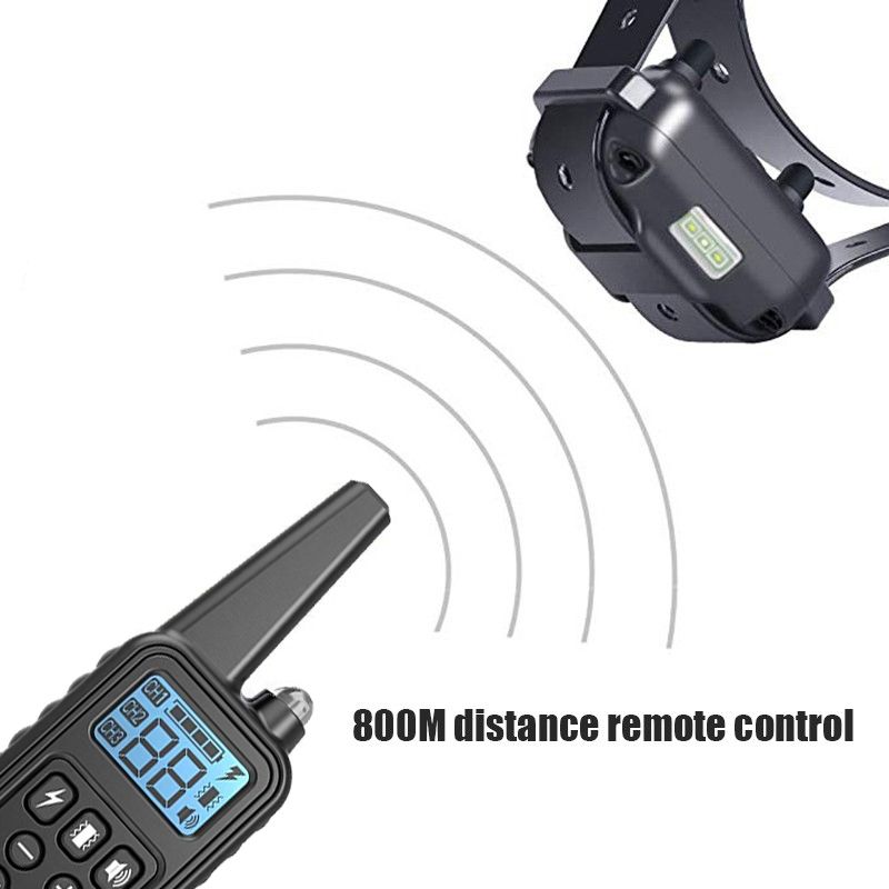 Collier de dressage pour chien électrique 800m étanche rechargeable avec niveaux de choc réglables et écran LCD