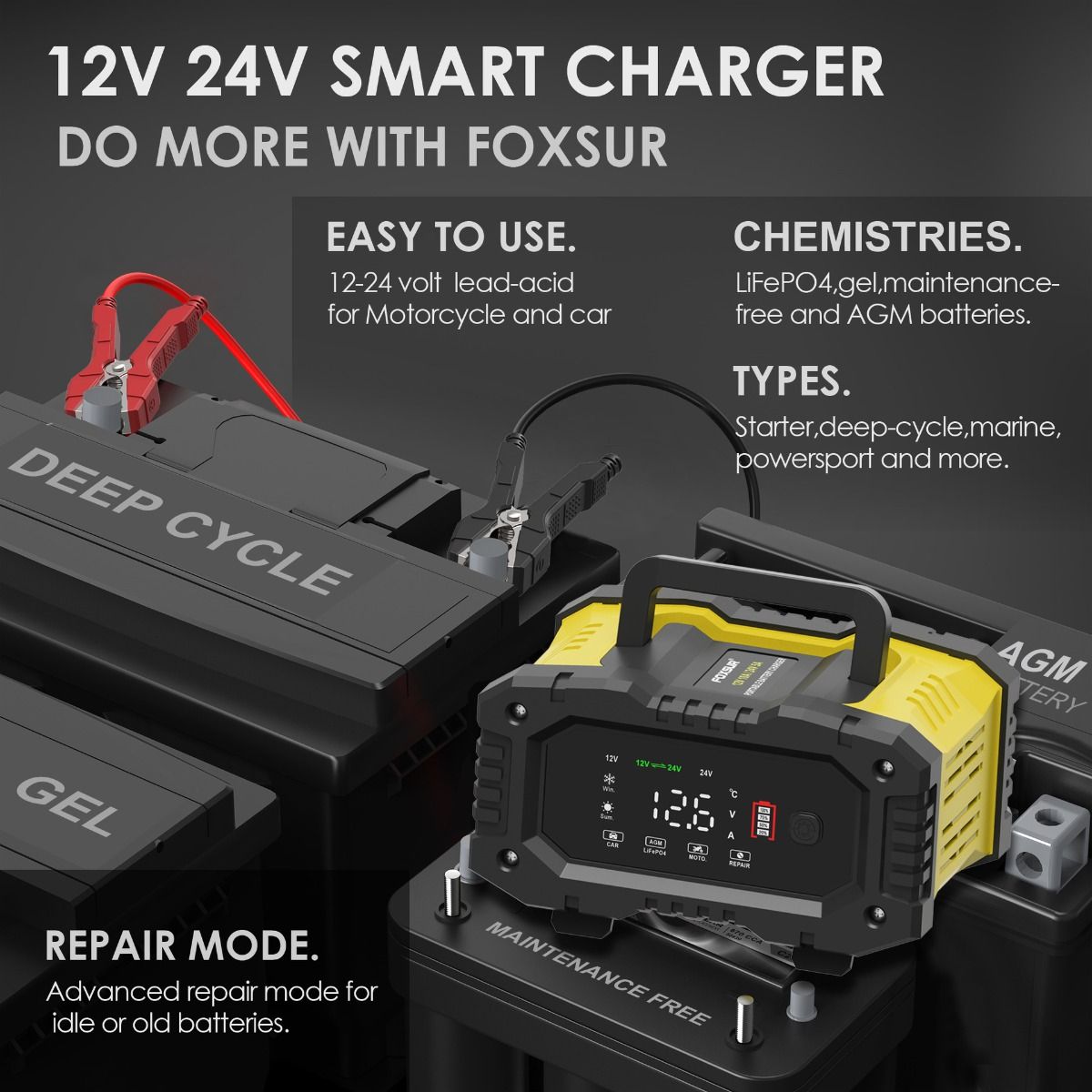 FOXSUR Chargeur de batterie de voiture portable 12V 24V Chargeur polyvalent pour AGM LiFePO4 acide de plomb moto camion