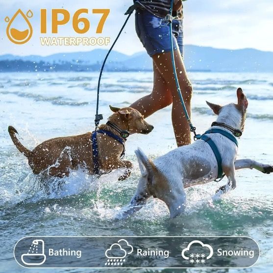 Collier Électronique pour Chien avec Reconnaissance Aboiement Intelligent et Algorithme Avancé Anti-aboiement