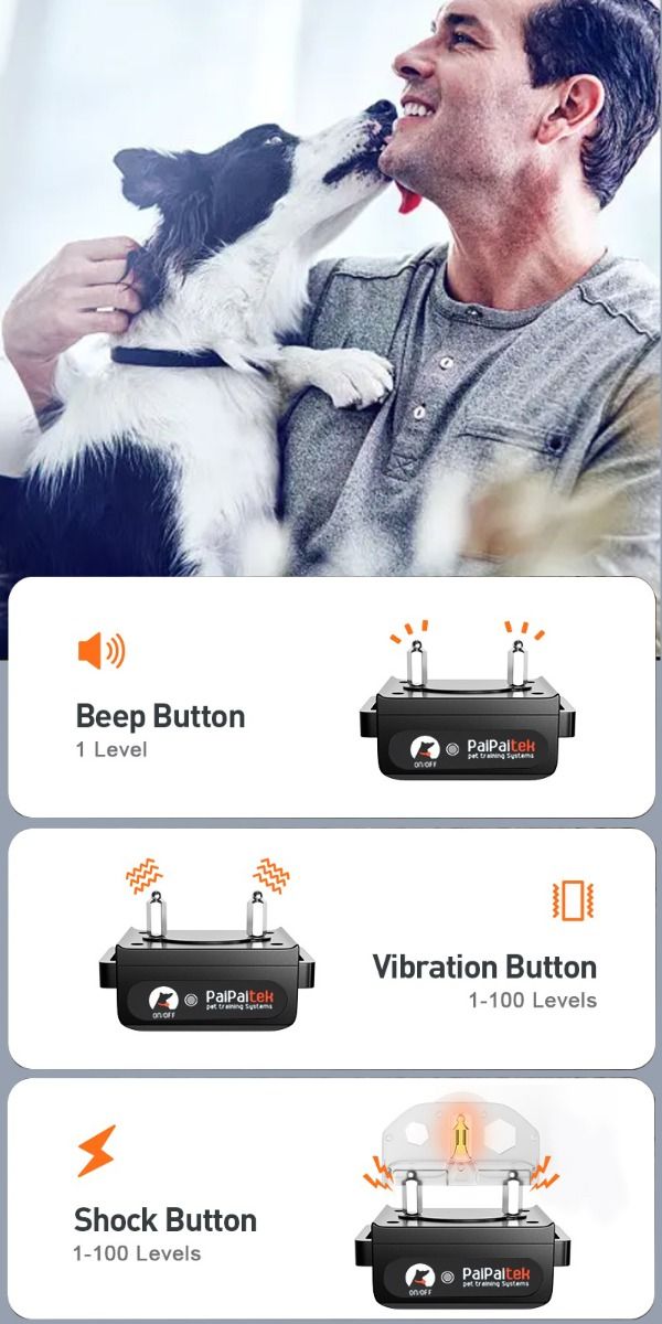 Télécommande de collier de dressage électrique pour chien 1000m avec verrouillage de sécurité et modes réglables pour un dressage humain