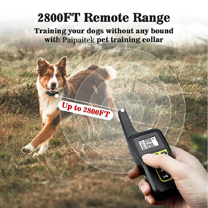 Télécommande de collier de dressage électrique pour chien 1000m avec verrouillage de sécurité et modes réglables pour un dressage humain