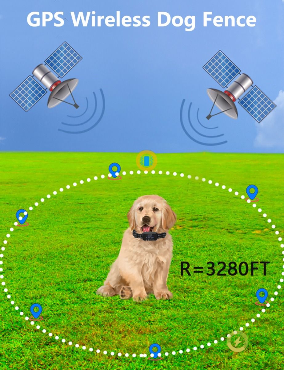 Clôture GPS sans fil pour chien Impact Collier Étanche Portée 1000m Sécurité Animaux Installation Facile