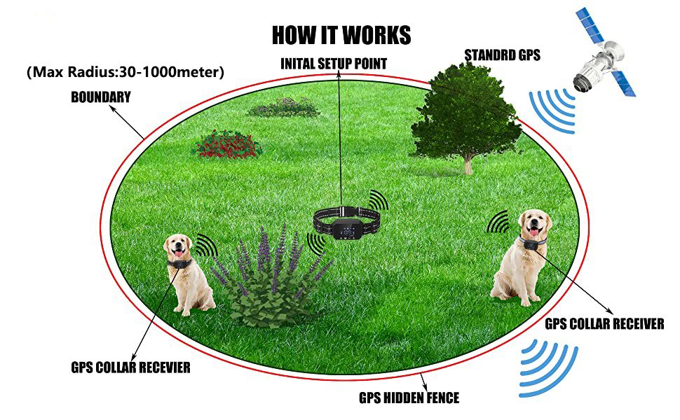 Clôture GPS sans fil pour chien Impact Collier Étanche Portée 1000m Sécurité Animaux Installation Facile