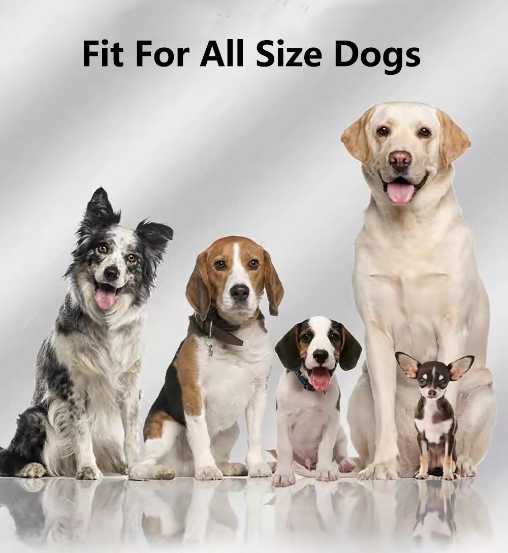 Clôture GPS sans fil pour chien Impact Collier Étanche Portée 1000m Sécurité Animaux Installation Facile