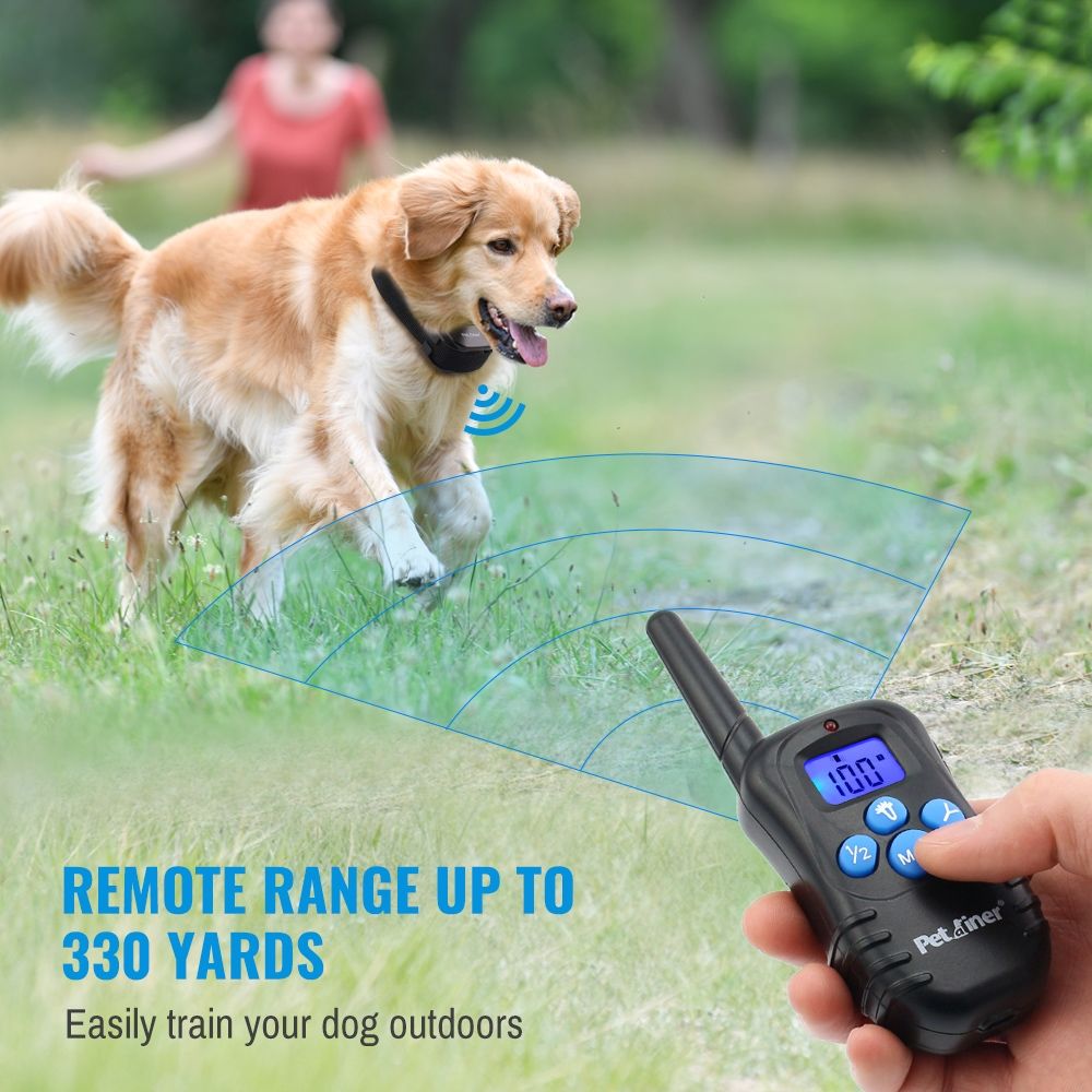 Collier de Dressage Rechargeable avec Écran LCD pour Chien Distance 300m Collier Étanche et Ajustable
