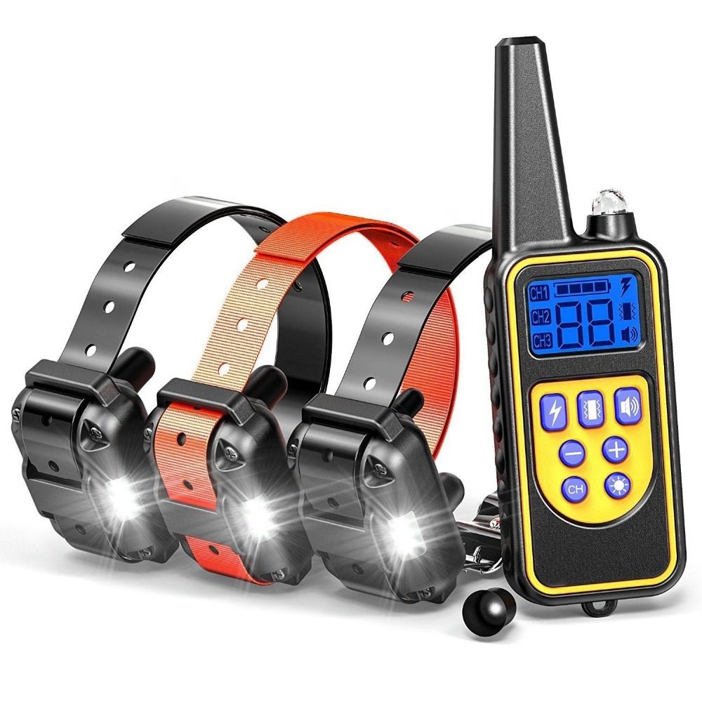 Collier de dressage pour chien électrique à télécommande, étanche, rechargeable, avec niveaux réglables, portée de 800 m, pour chiens de toutes tailles.