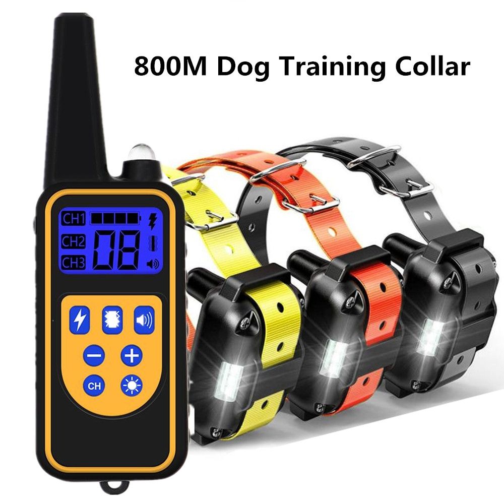 Collier de dressage pour chien électrique à télécommande, étanche, rechargeable, avec niveaux réglables, portée de 800 m, pour chiens de toutes tailles.