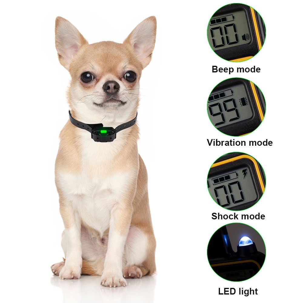 Collier d'entraînement pour chiens 800 m Collier imperméable et rechargeable avec écran LCD et vibrations ajustables