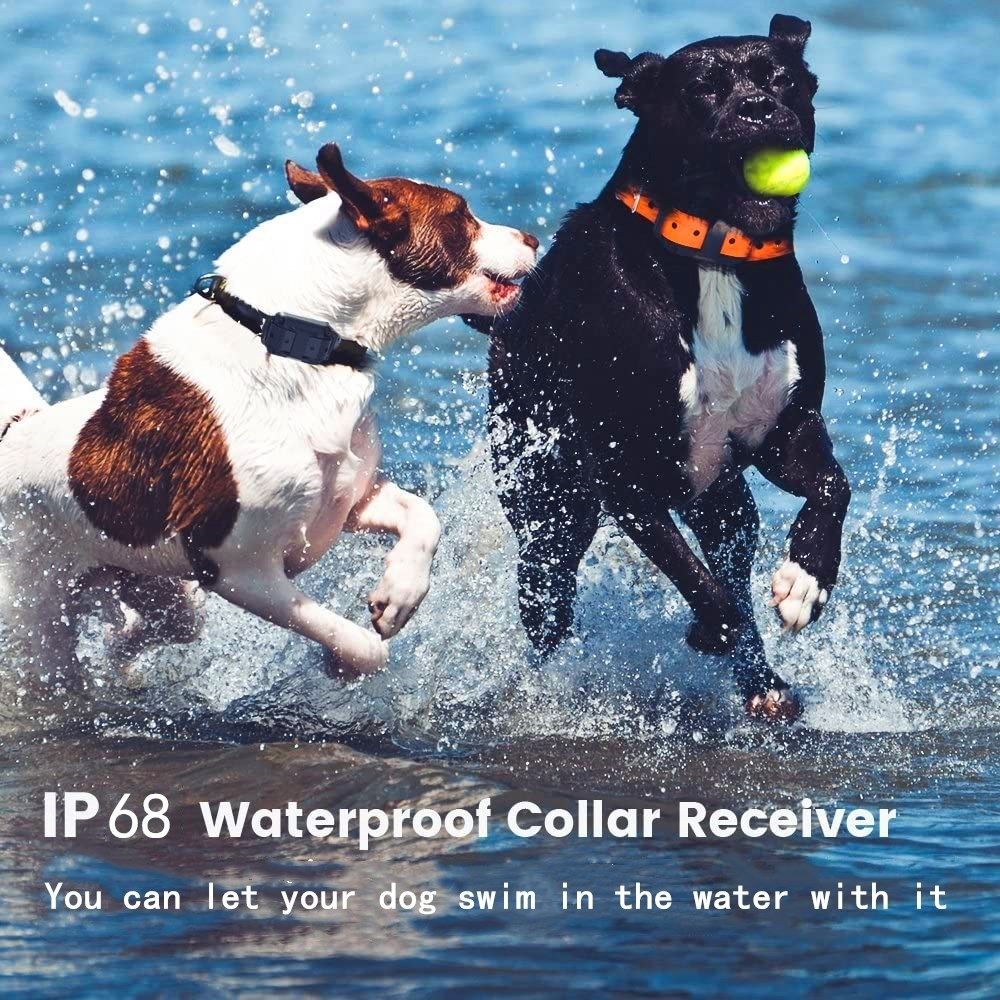 Collier de dressage pour chien électrique étanche avec une portée de 1000 m et niveaux de stimulation réglables pour un dressage humain