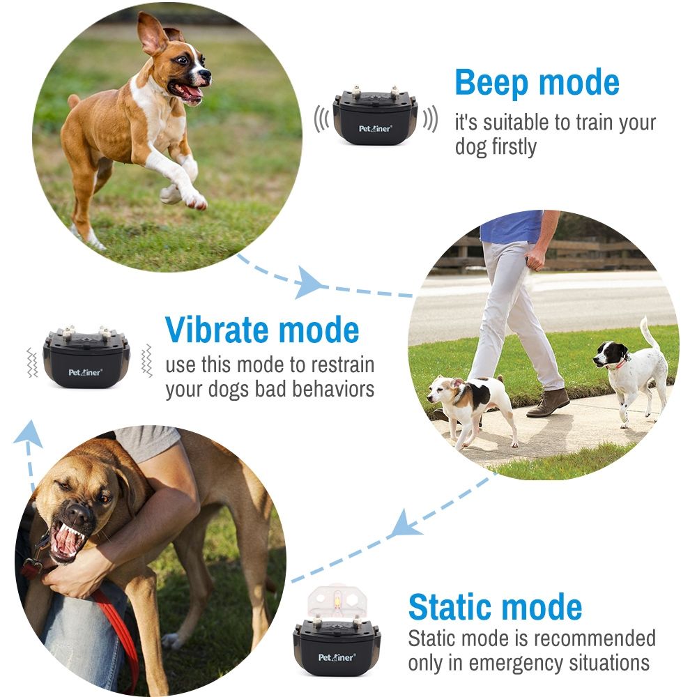 Collier de Dressage Rechargeable avec Écran LCD pour Chien Distance 300m Collier Étanche et Ajustable