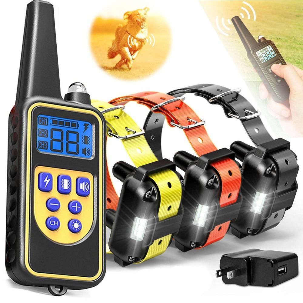 Collier de dressage pour chien électrique à télécommande, étanche, rechargeable, avec niveaux réglables, portée de 800 m, pour chiens de toutes tailles.