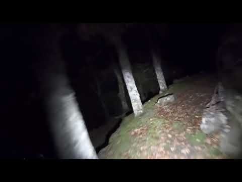 Lumières de vélo NiteBeam BR05 5 LED 5000 lumens phare vélo USB rechargeable sécurité cycliste haute luminosité