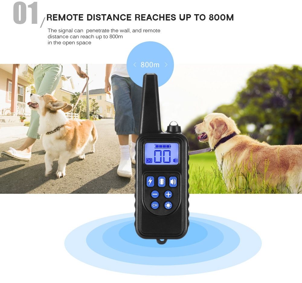 Collier de dressage chien 800m écran LCD modes choc vibration son collier rechargeable imperméable