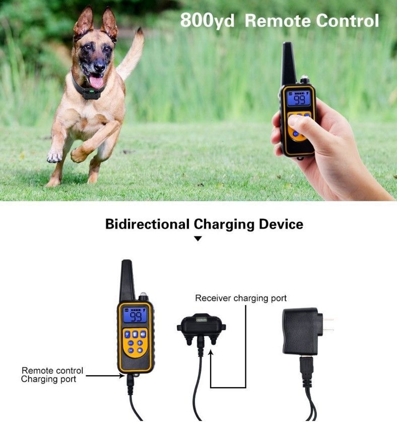 Collier de dressage pour chien électrique à télécommande, étanche, rechargeable, avec niveaux réglables, portée de 800 m, pour chiens de toutes tailles.