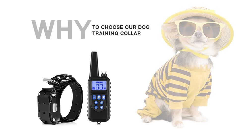 Collier de dressage chien 800m écran LCD modes choc vibration son collier rechargeable imperméable