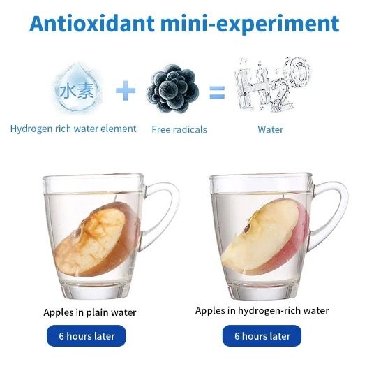 Gobelet d'eau générateur d'hydrogène portable avec filtre ioniseur élégant 420 ml booste l'hydratation et les niveaux d'antioxydants