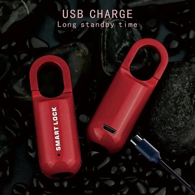Cadenas à empreinte digitale mini, déverrouillage rapide, accès sans clé, cadenas durable avec design léger pour la sécurité en voyage