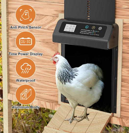 Ouverture automatique de porte de poulailler avec minuterie intégrée, porte électrique en aluminium durable résistant aux intempéries