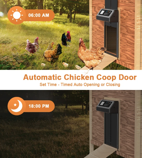 Ouverture automatique de porte de poulailler avec minuterie intégrée, porte électrique en aluminium durable résistant aux intempéries