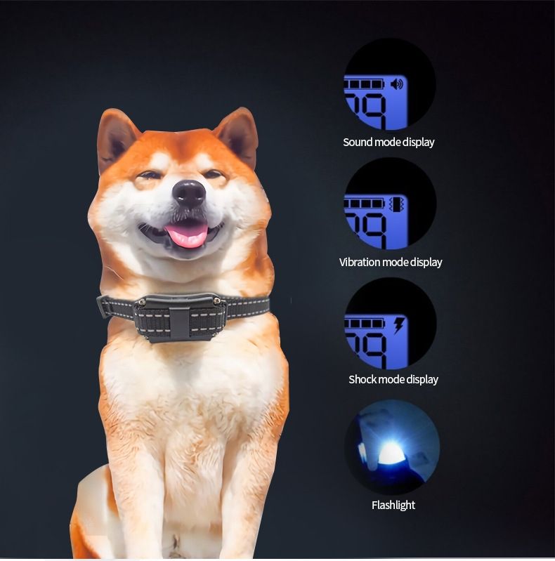 Collier de dressage électrique pour chien 800m, étanche, avec écran LCD, niveaux réglables humains, rechargeable.