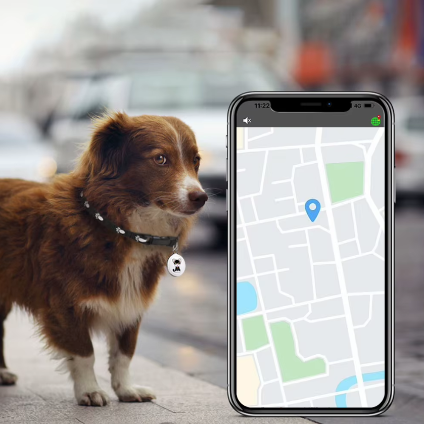Traceur de chien Collier Airtag pour chien Localisation en temps réel Suivi Bluetooth Sécurité pour chiens