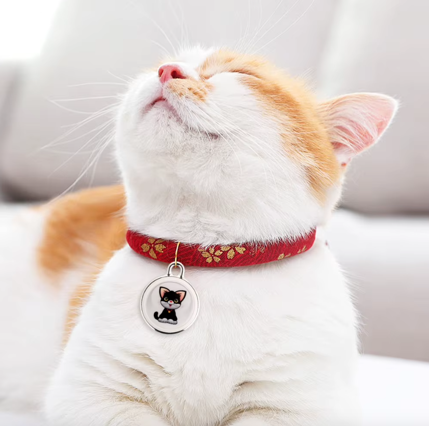 Traceur de chien Collier Airtag pour chien Localisation en temps réel Suivi Bluetooth Sécurité pour chiens