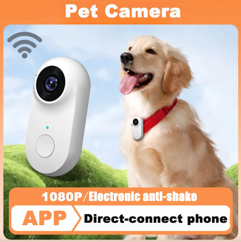 Caméra pouce WiFi HD Enregistreur sportif Caméra sport Enregistreur vidéo pour moto Caméra pour animal de compagnie