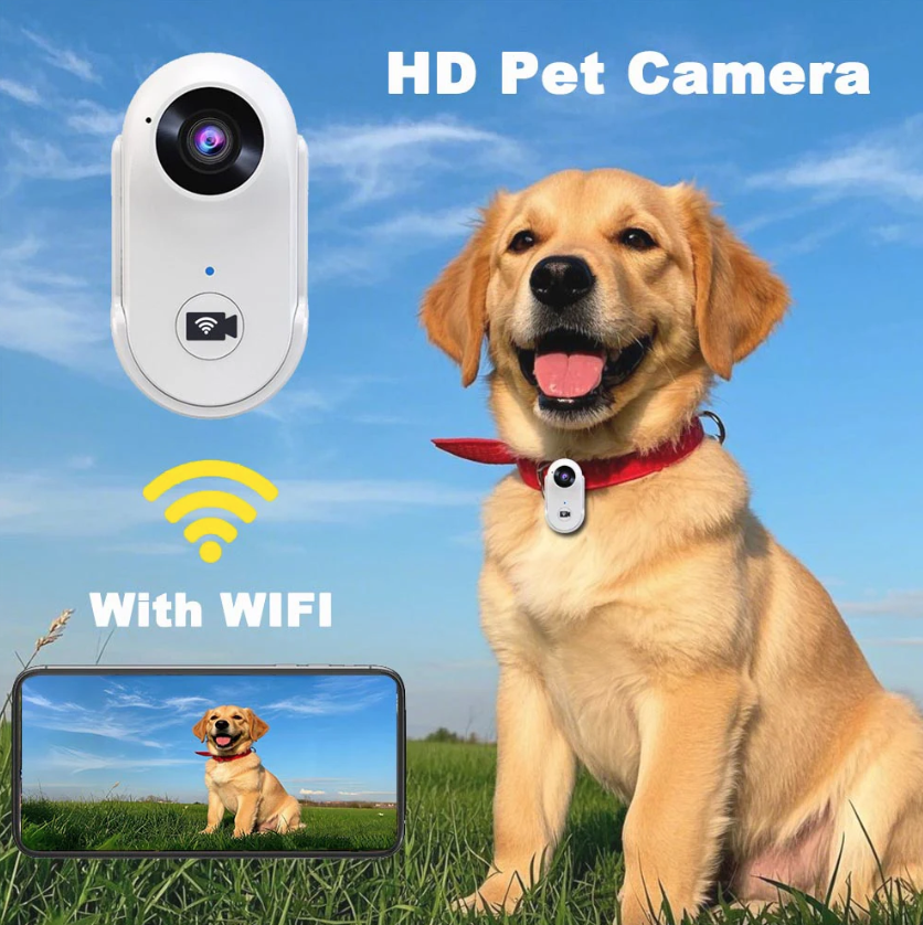 Caméra pouce WiFi HD Enregistreur sportif Caméra sport Enregistreur vidéo pour moto Caméra pour animal de compagnie