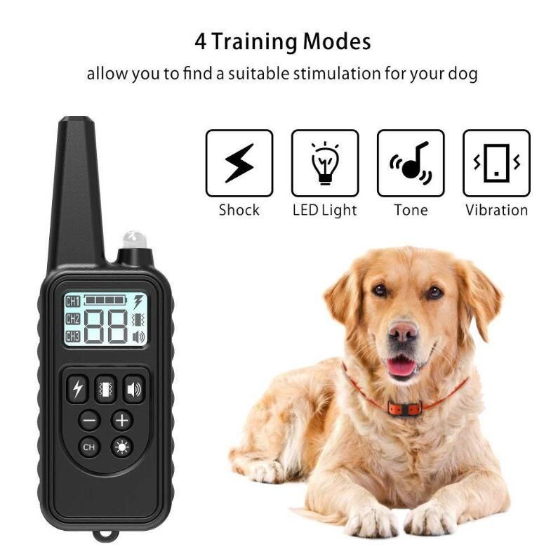 Collier de dressage chien 800m écran LCD modes choc vibration son collier rechargeable imperméable